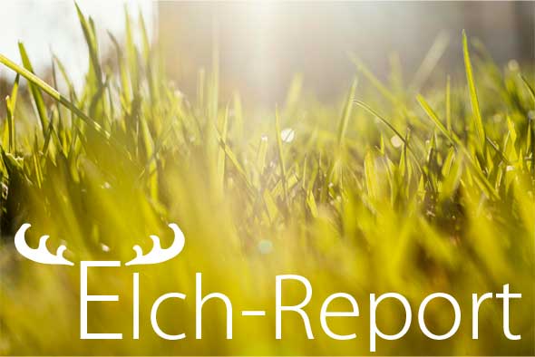 elch report